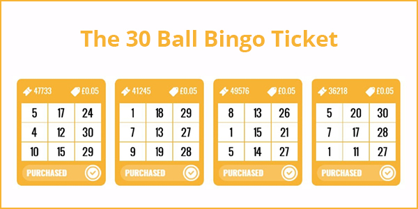 Découvrez les bases du 30 Ball Bingo et comment augmenter vos chances de gagner dans ce guide rapide destiné aux nouveaux joueurs.