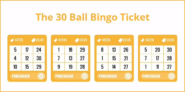 Discover the basics of 30 Ball Bingo and how to enhance your chances of winning in this quick guide for new players.